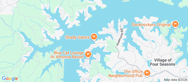 Shady Gators
