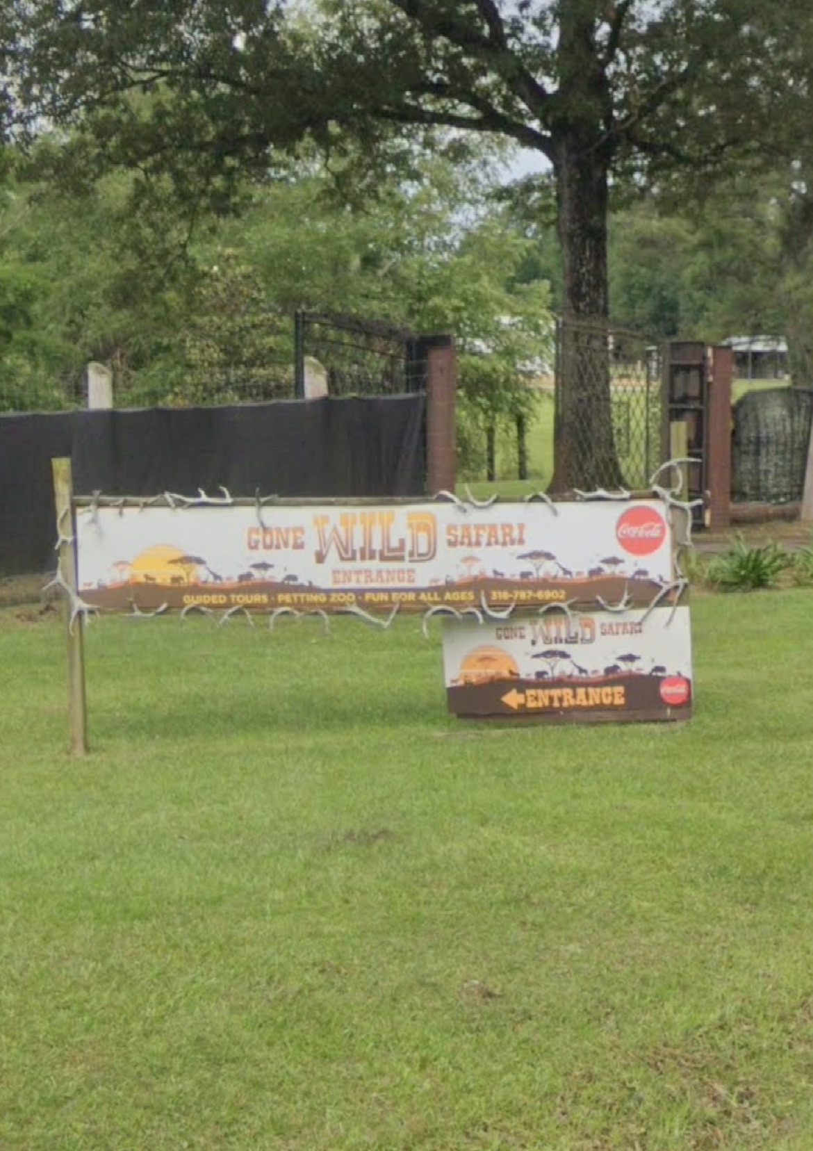Gone Wild Safari