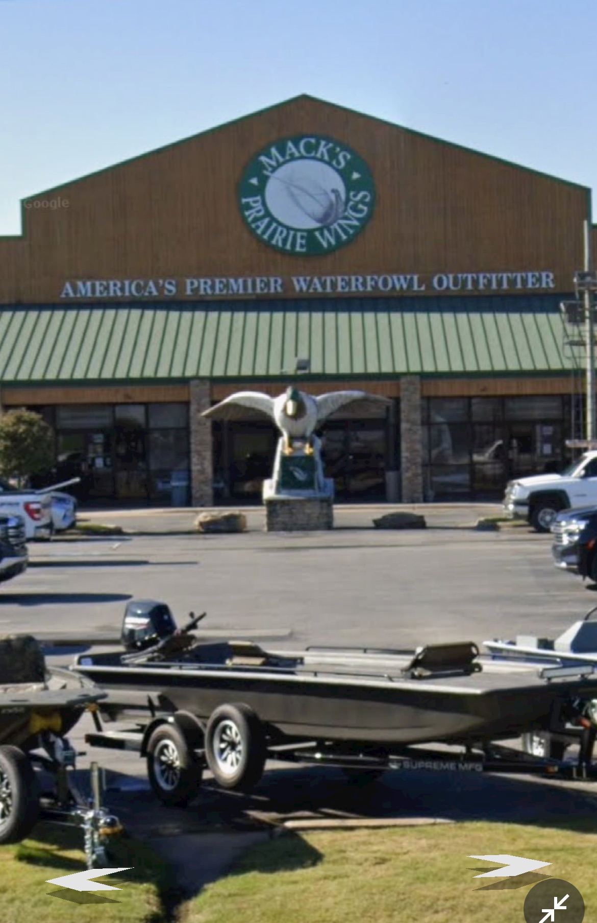 Duck Statue