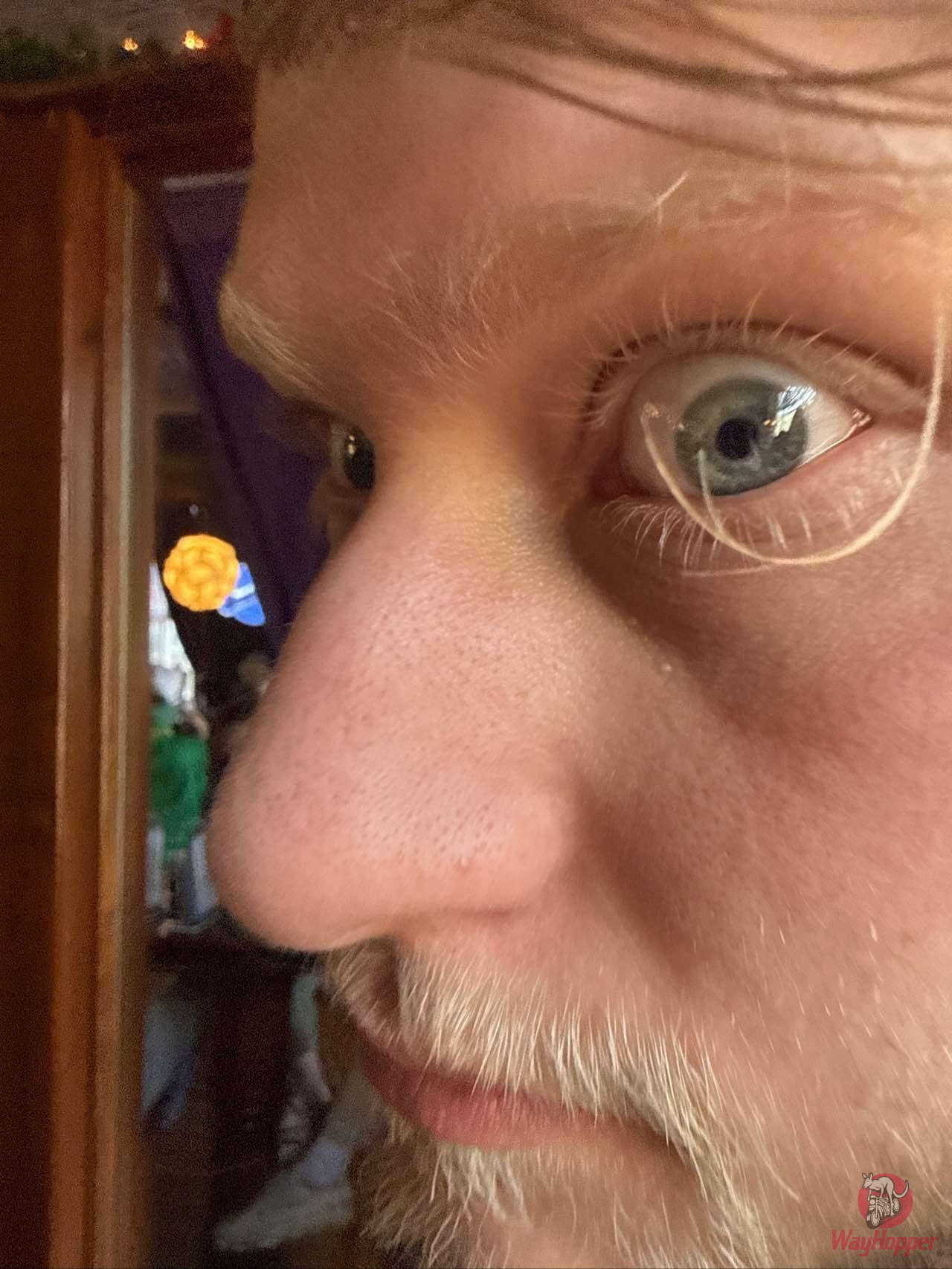 Chelsea's  (Cover $)