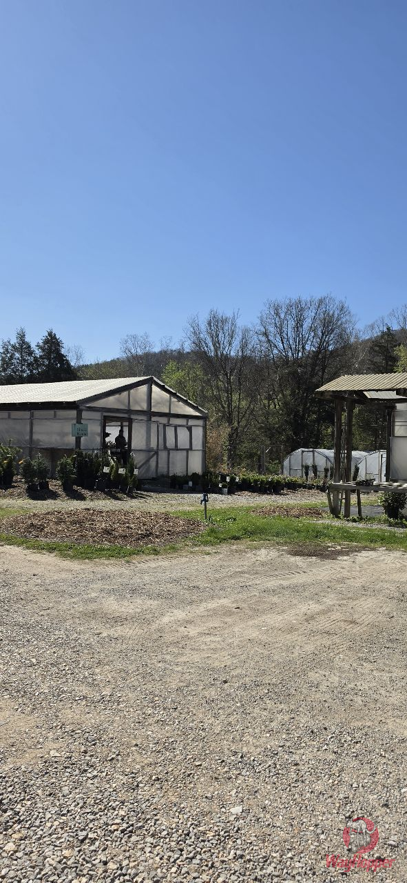 The Buzz Coffee - Photo 3