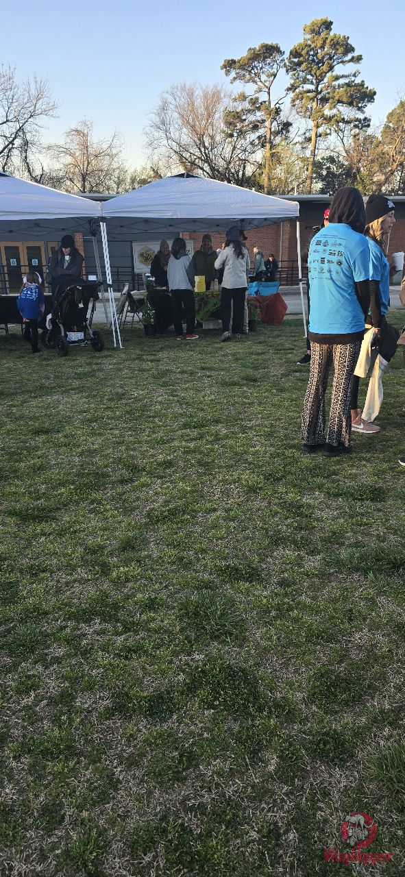 Eureka Springs Community Center