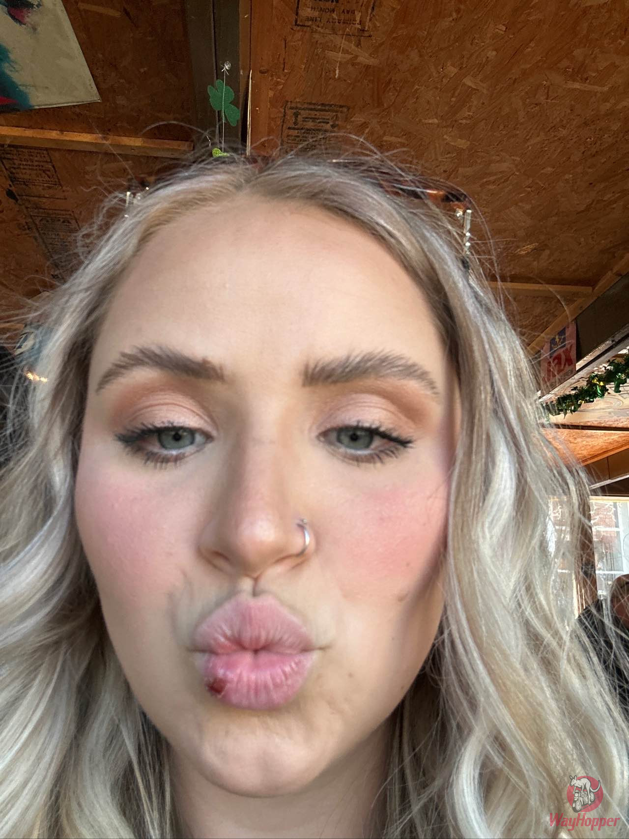 Rowdy Beaver Den - Photo 2