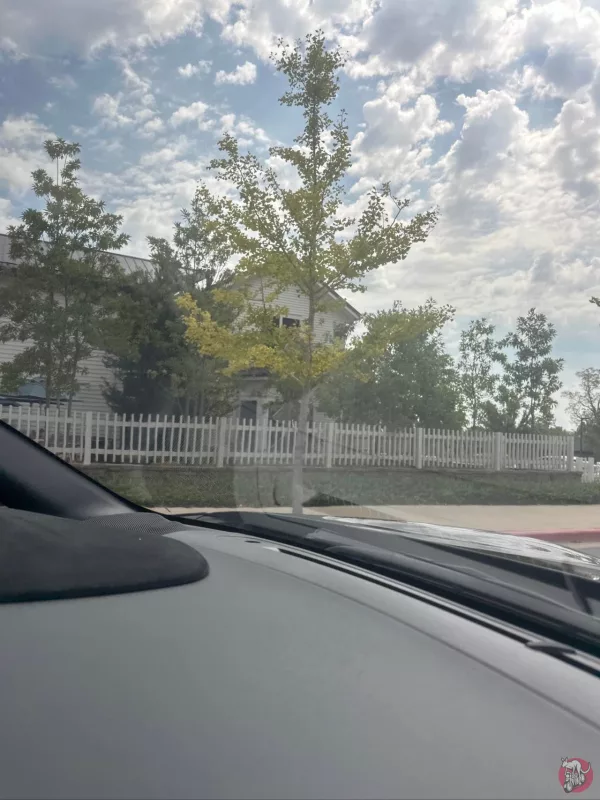 BlakeSt photo 1