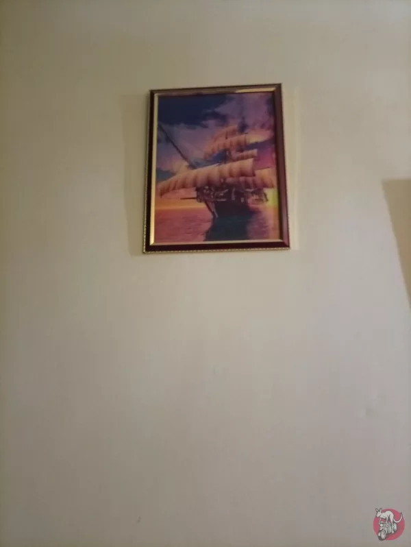 Shared photo
