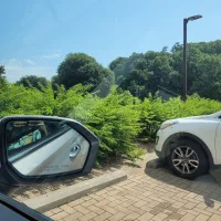 Lake Atlanta Park & Trails photo 4