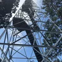 Harley's Tower - Pine Mountain Village