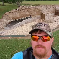 50' Wooden Alligator