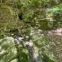 Gurgling Springs