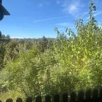Photo at East Mountain Gazebo