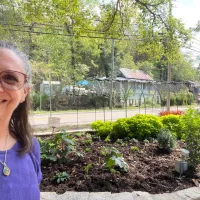 Eureka Springs Music Park