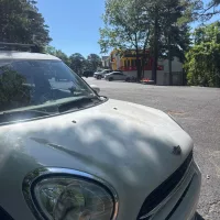 Pauly's Burgers