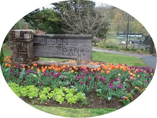 Wilson Park photo 1